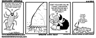 06/06/2013